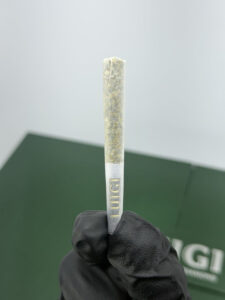 BUY V8 LUIGI DISPOSABLE 2G ONLINE - NATION PACKS
