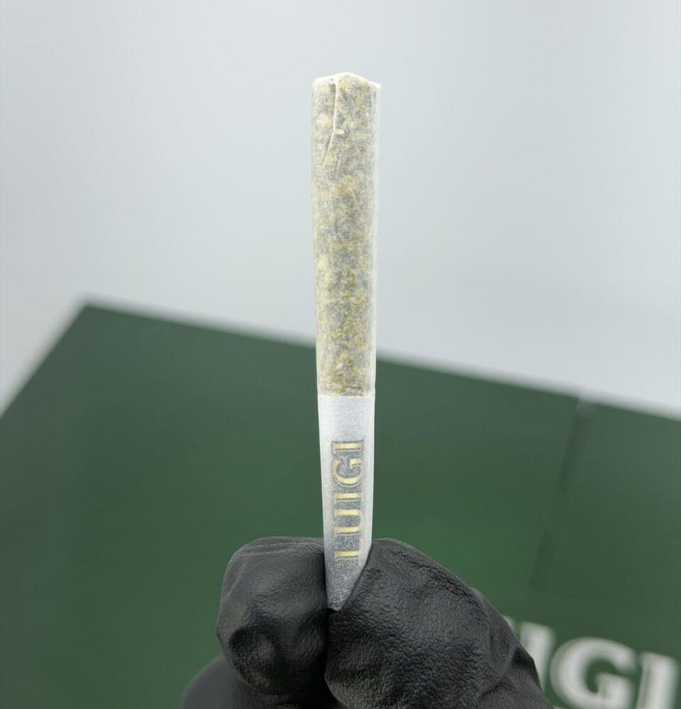 BUY V8 LUIGI DISPOSABLE 2G ONLINE - NATION PACKS
