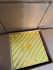 2g ace disposable world cup edition